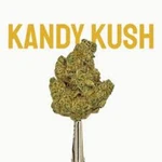 Kandy Kush Wholesale